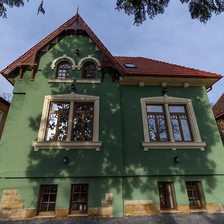 Interbelic Vibe Apartment Cluj-Napoca Ngoại thất bức ảnh