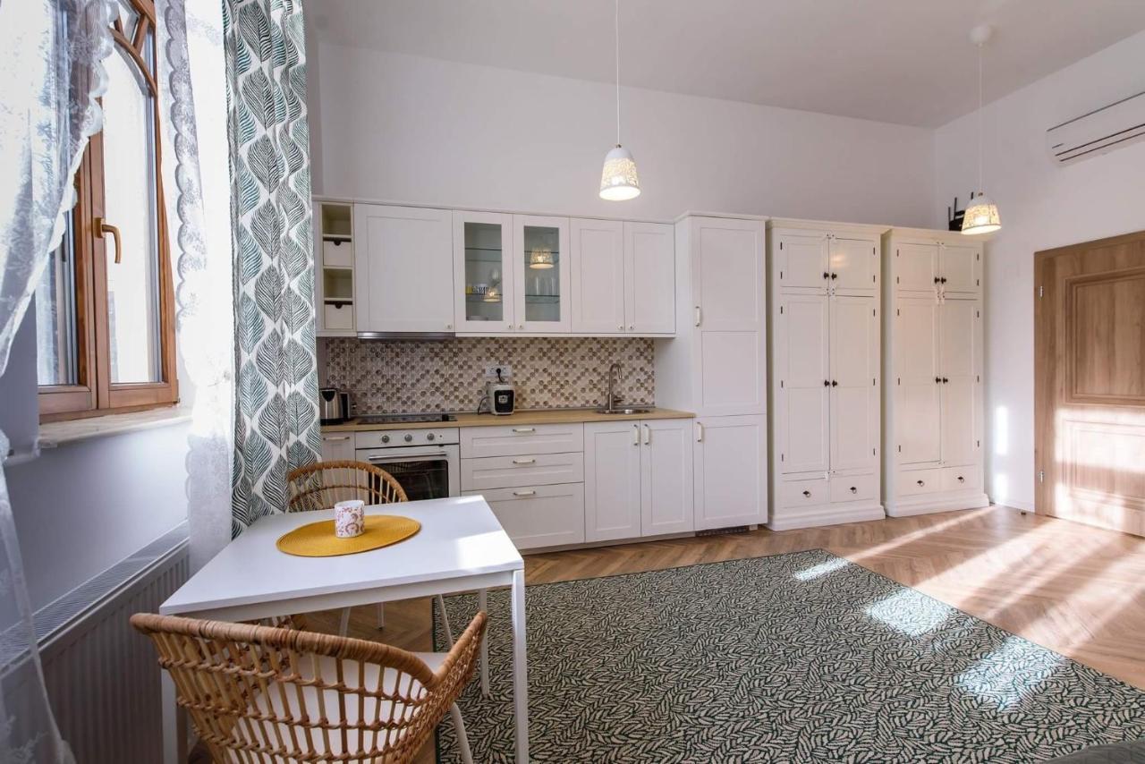 Interbelic Vibe Apartment Cluj-Napoca Ngoại thất bức ảnh