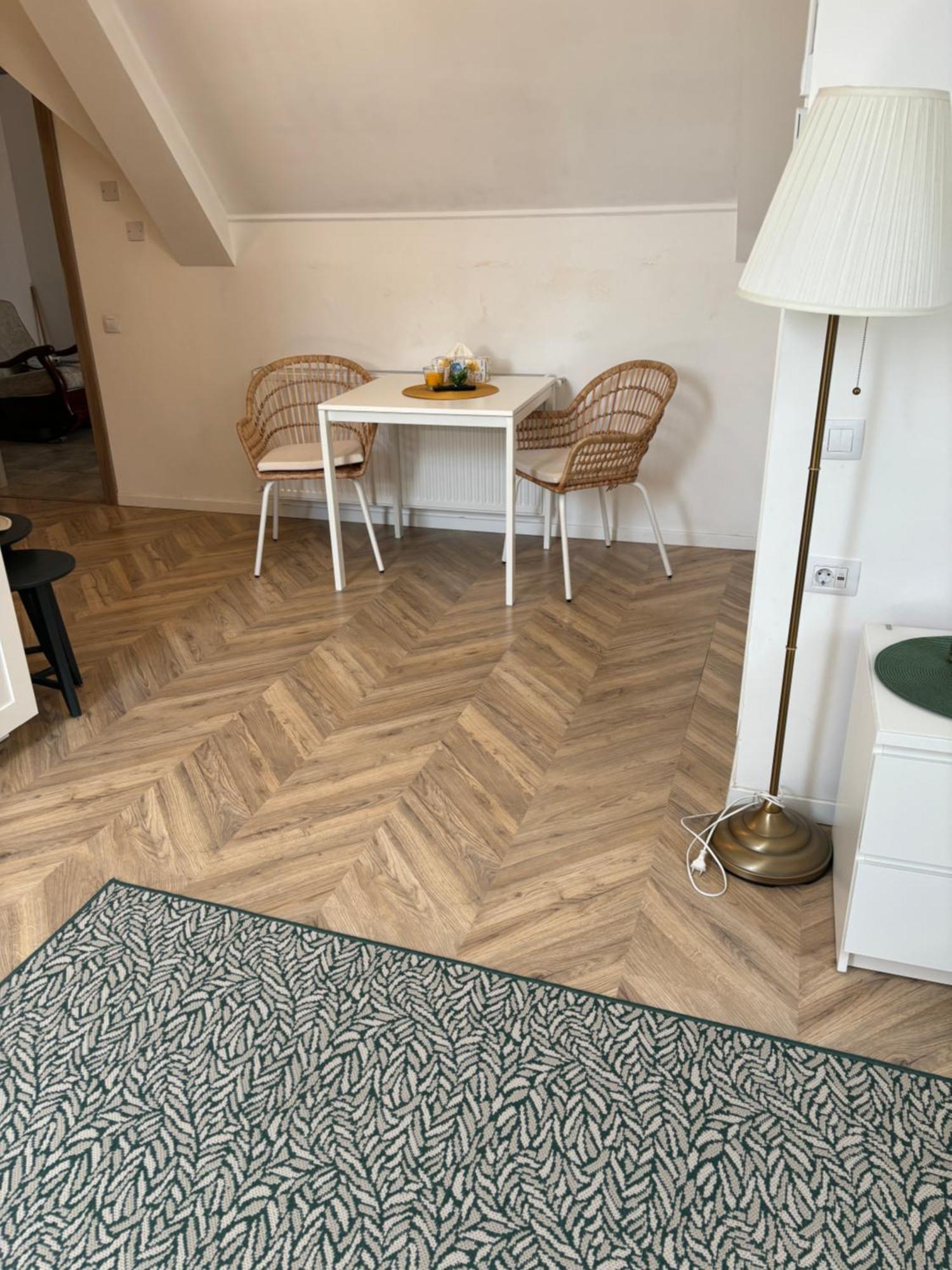 Interbelic Vibe Apartment Cluj-Napoca Ngoại thất bức ảnh