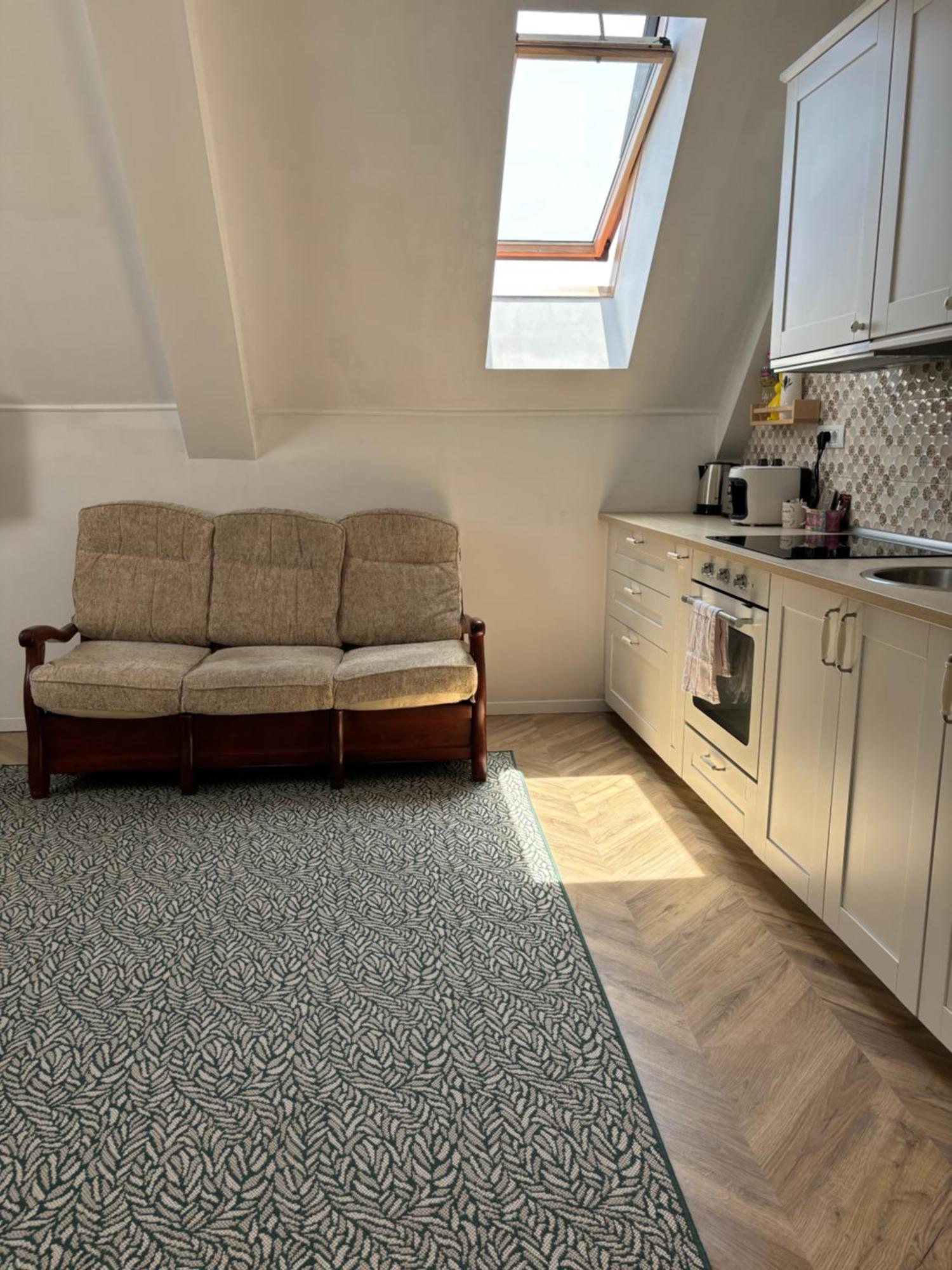 Interbelic Vibe Apartment Cluj-Napoca Ngoại thất bức ảnh